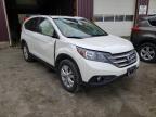 HONDA - CRV