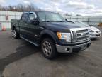 FORD - F-150