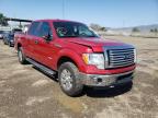 FORD - F-150