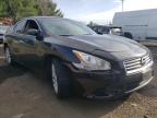 NISSAN - MAXIMA