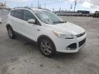 FORD - ESCAPE