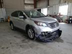 HONDA - CRV