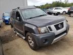 NISSAN - XTERRA