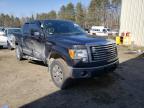 FORD - F-150