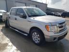 FORD - F-150