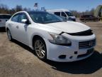 NISSAN - MAXIMA