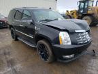 CADILLAC - ESCALADE