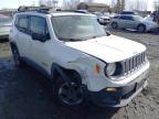 JEEP - RENEGADE