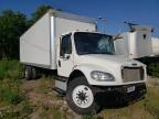 FREIGHTLINER - M2 106 MEDIUM