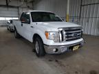 FORD - F-150