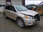 TOYOTA - RAV4