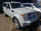 DODGE - NITRO