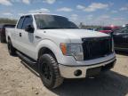 FORD - F-150