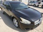 NISSAN - MAXIMA