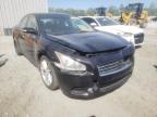 NISSAN - MAXIMA