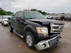 FORD - F-150