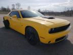 DODGE - CHALLENGER