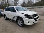 TOYOTA - RAV4