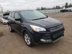 FORD - ESCAPE