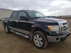 FORD - F-150