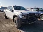 FORD - F150 SVT