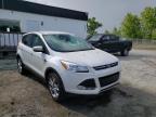 FORD - ESCAPE