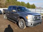 FORD - F-150