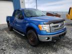 FORD - F-150