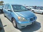 HONDA - ODYSSEY