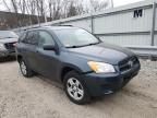 TOYOTA - RAV4