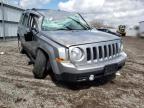 JEEP - PATRIOT