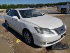 LEXUS - ES350