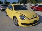 VOLKSWAGEN - BEETLE