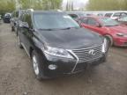 LEXUS - RX350