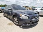 NISSAN - MAXIMA