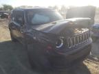 JEEP - RENEGADE