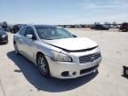 NISSAN - MAXIMA