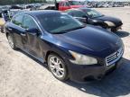 NISSAN - MAXIMA