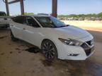 NISSAN - MAXIMA