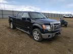 FORD - F-150