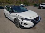 NISSAN - MAXIMA