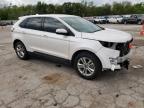 FORD - EDGE