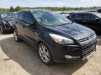 FORD - ESCAPE