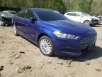 FORD - FUSION