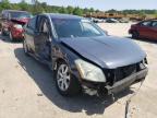 NISSAN - MAXIMA
