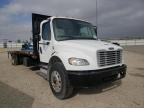 FREIGHTLINER - M2 106 MEDIUM