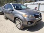 KIA - SORENTO