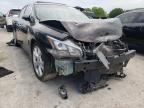 NISSAN - MAXIMA