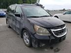 HONDA - ODYSSEY