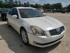 NISSAN - MAXIMA